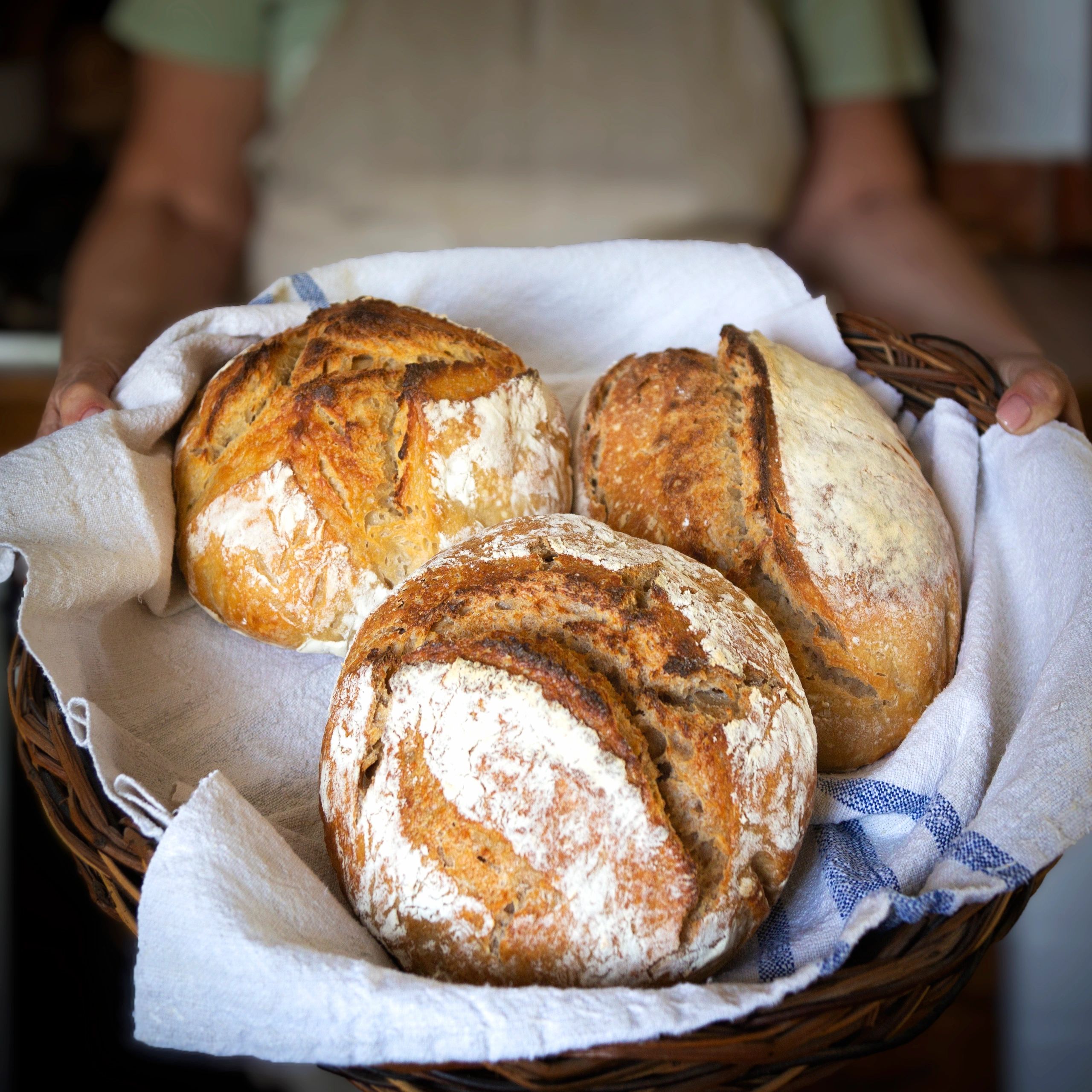 Bread